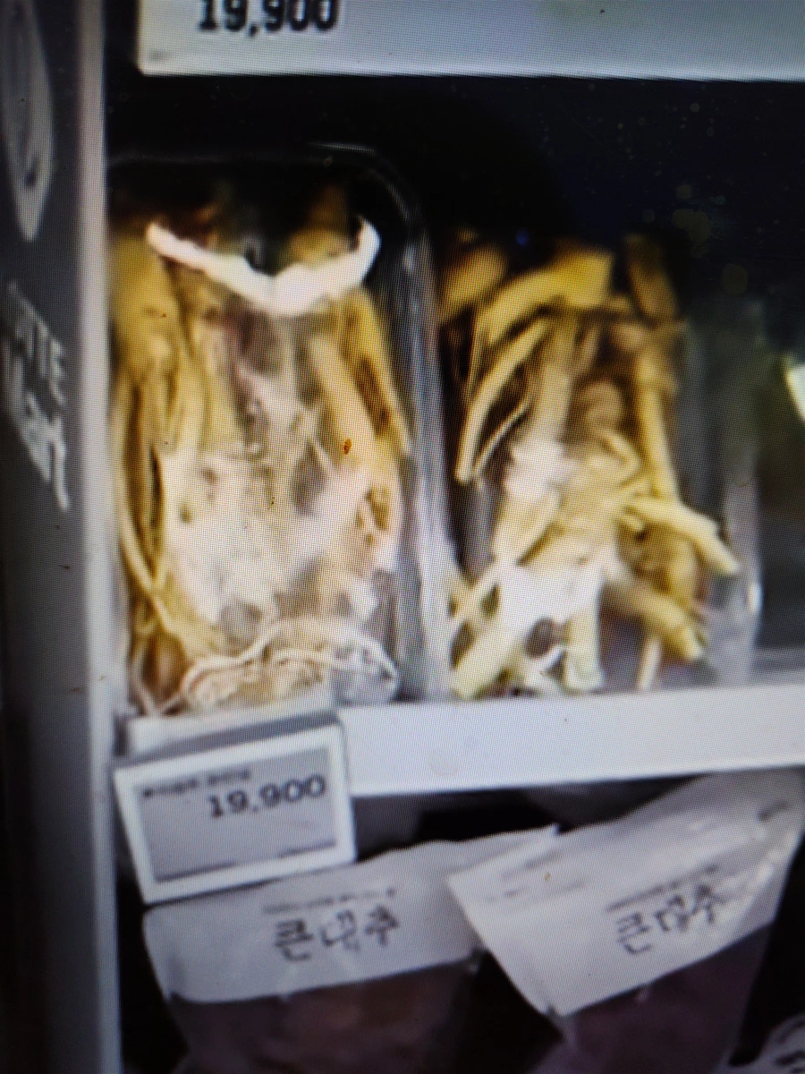 物品照片