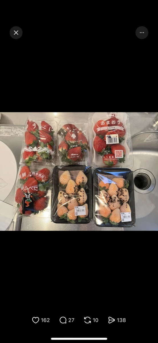 物品照片 1