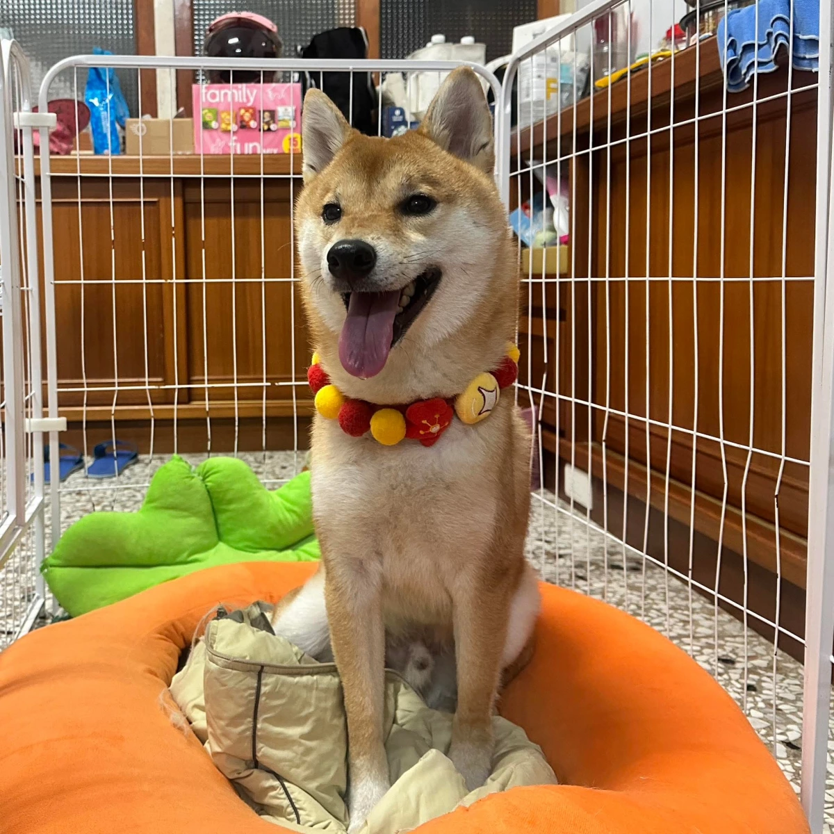 物品照片