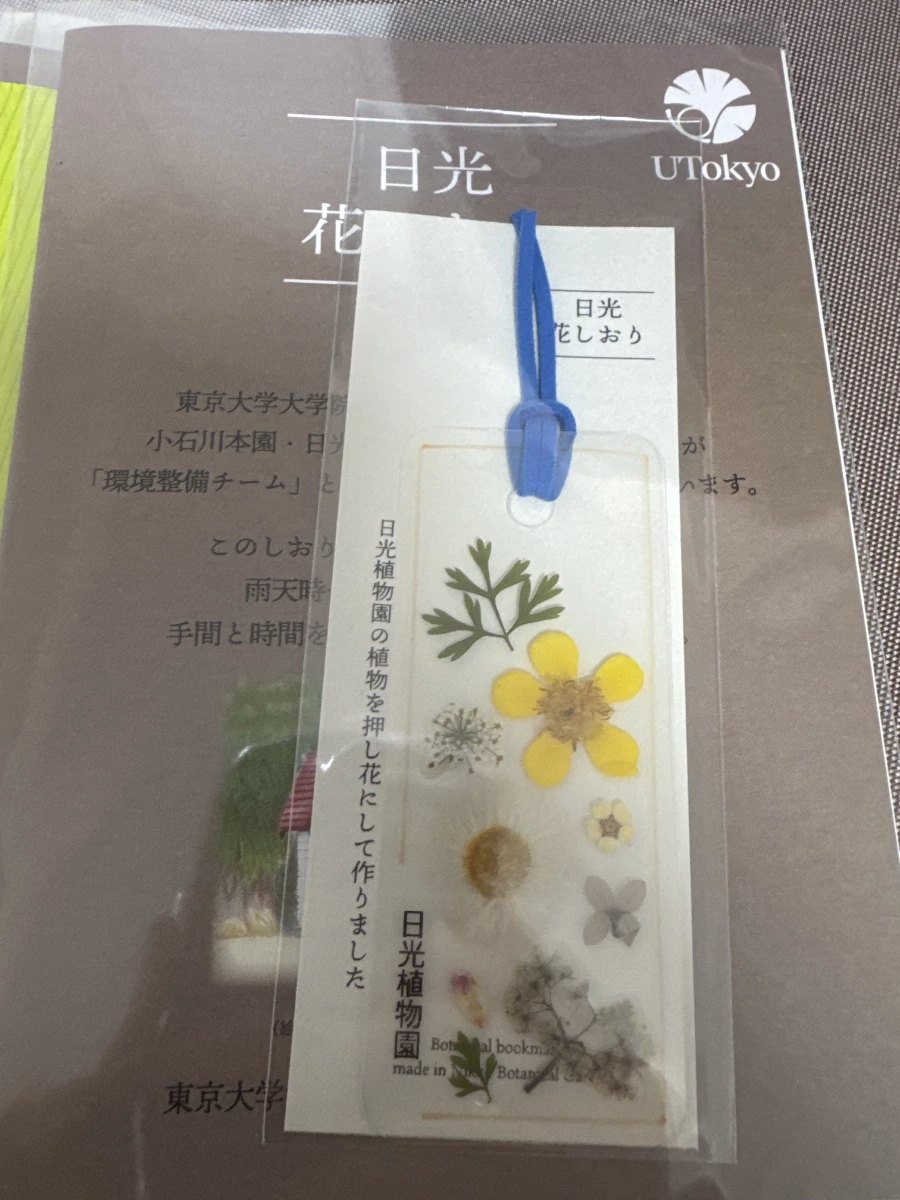 物品照片 2