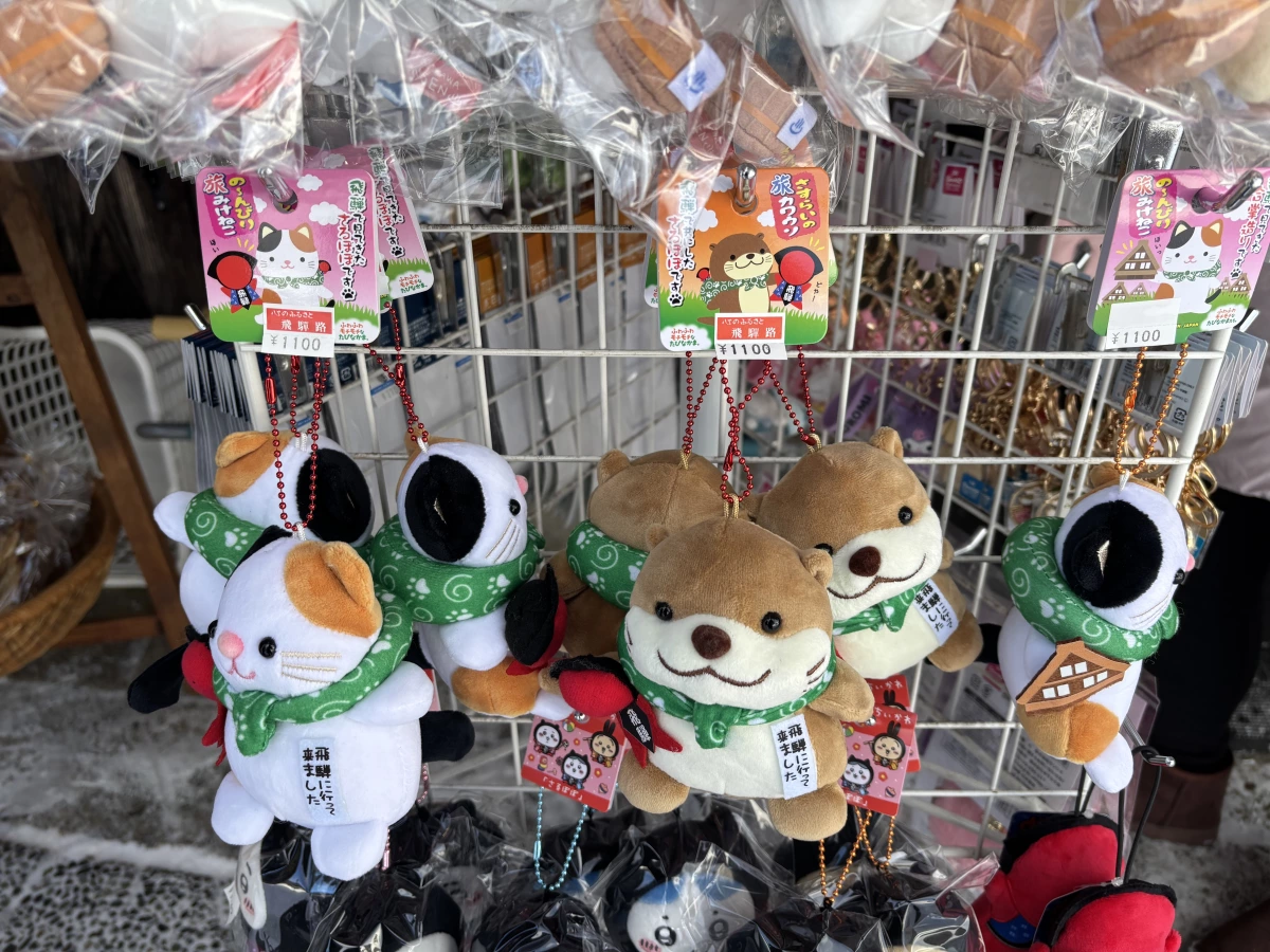 物品照片