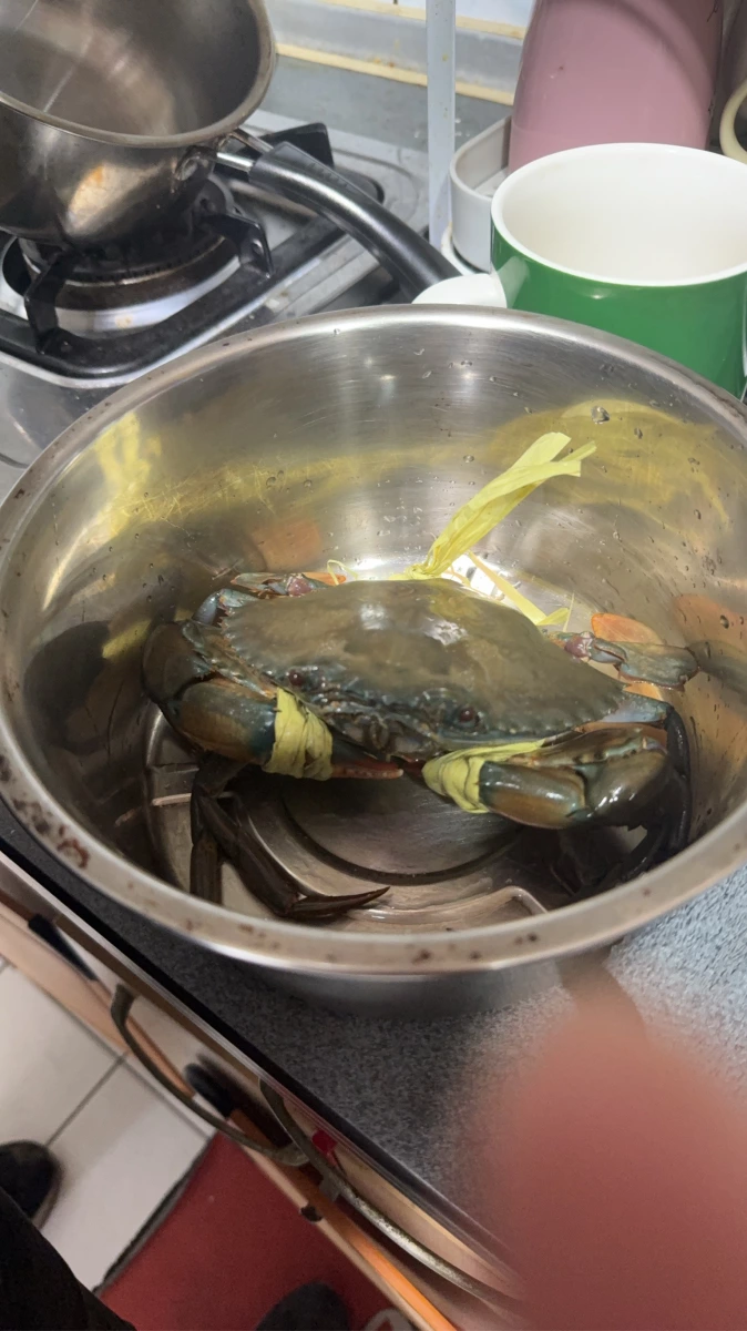 物品照片