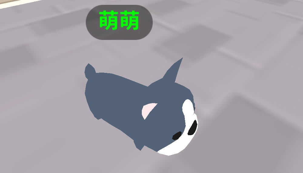 物品照片