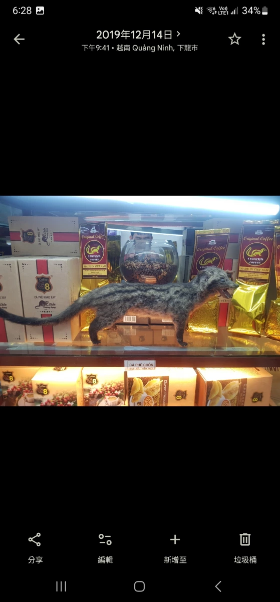 物品照片