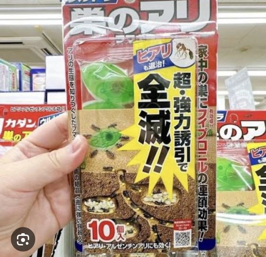 物品照片