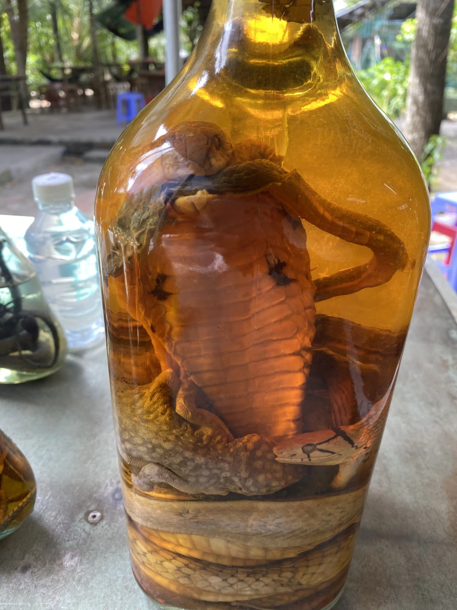 物品照片