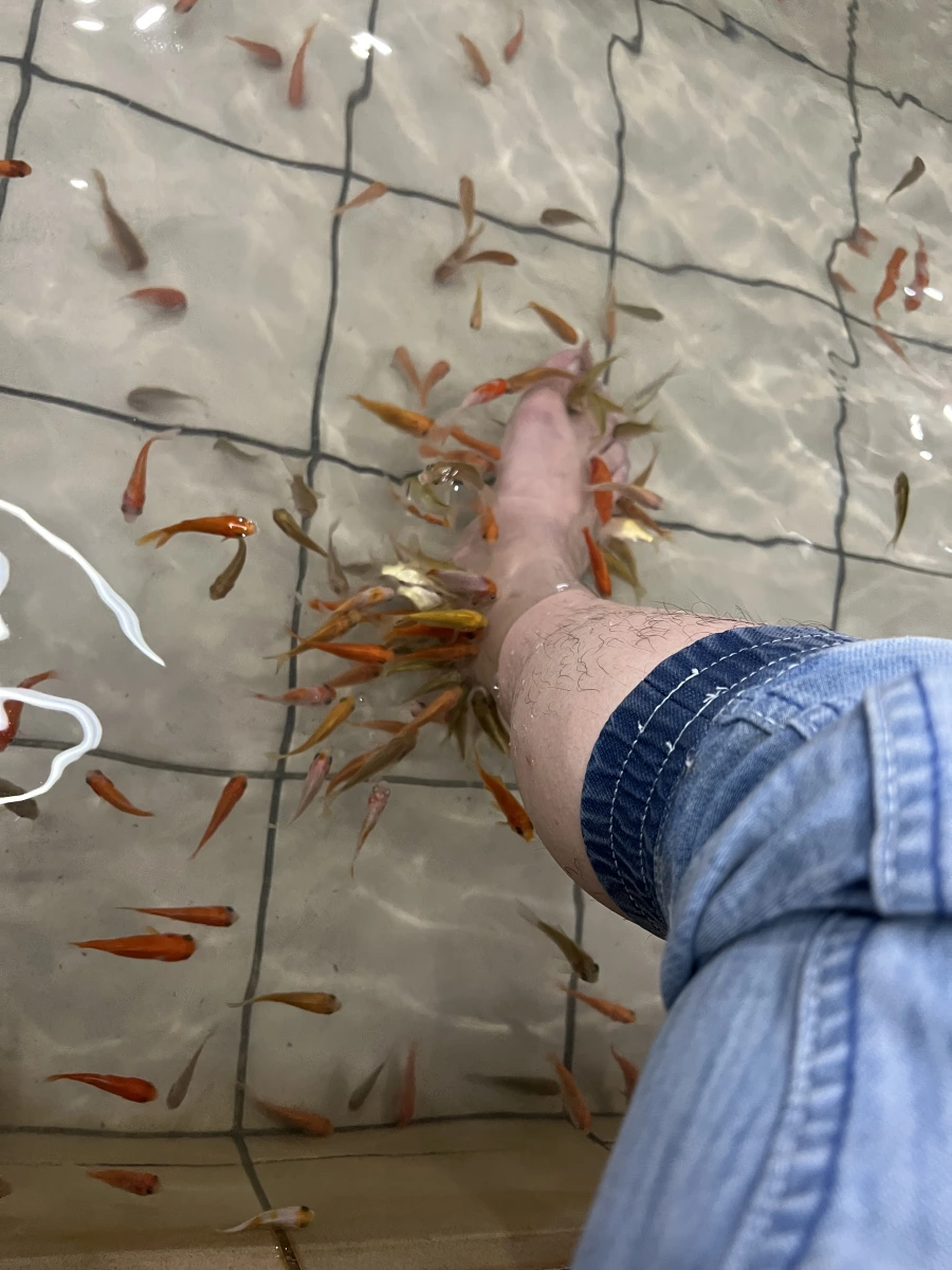 物品照片