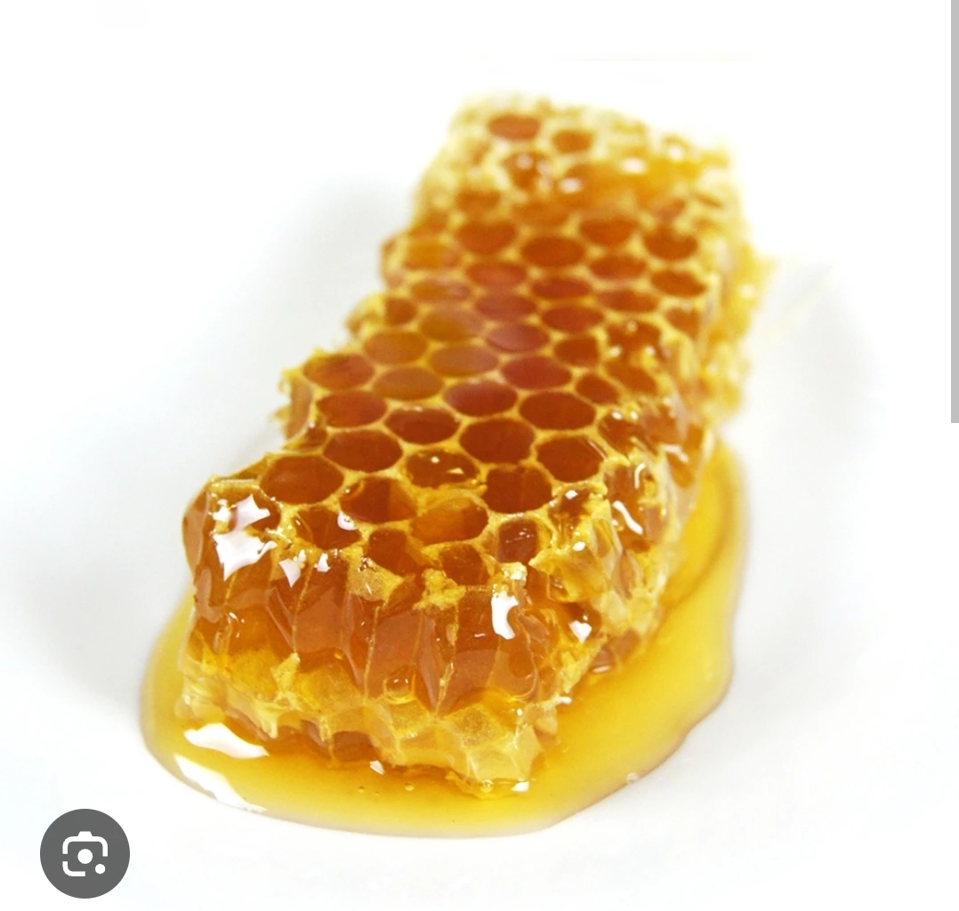 物品照片