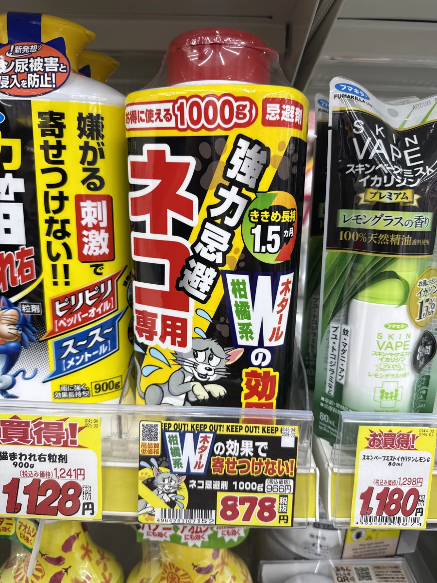 物品照片