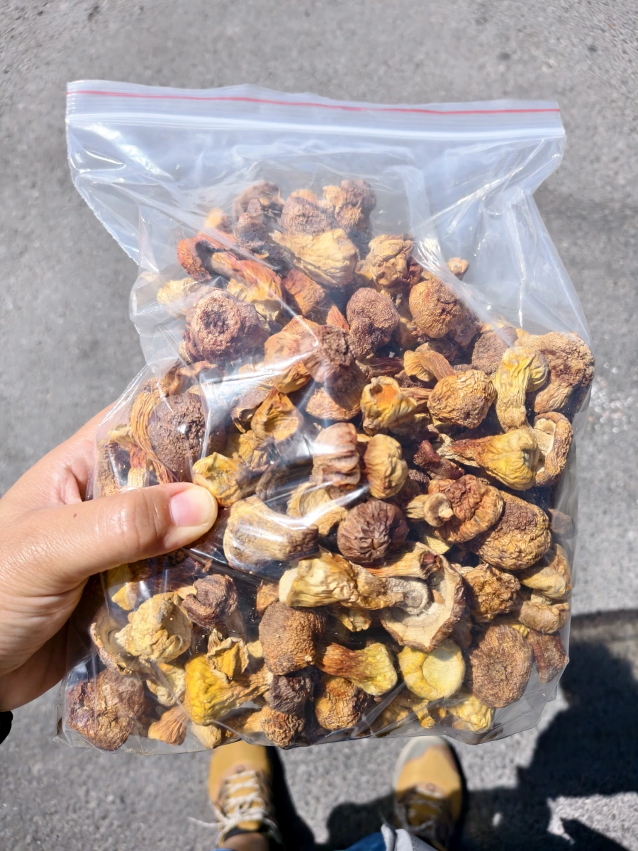 物品照片
