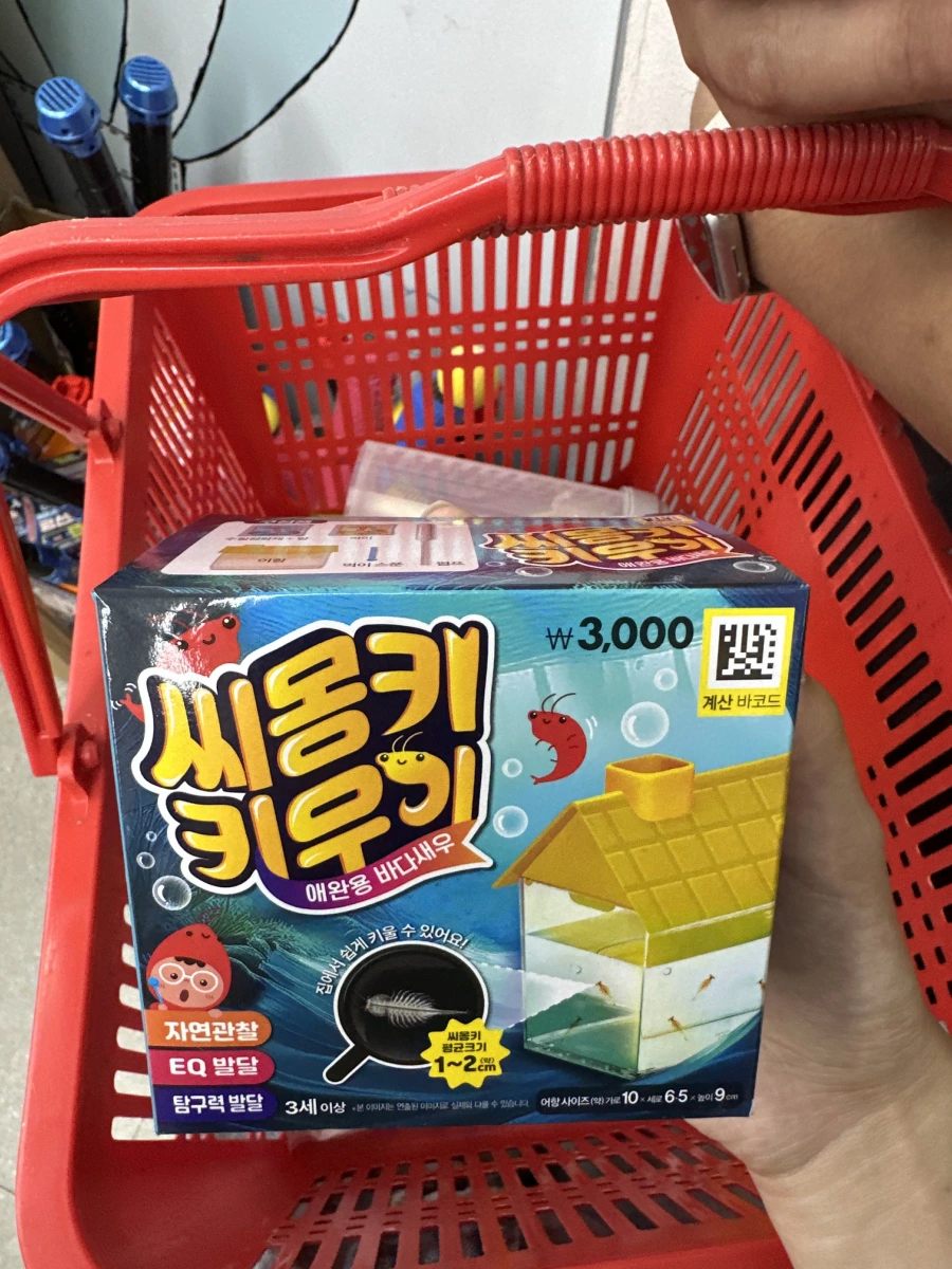 韓國 Sea Monkey 海猴寶寶養殖組