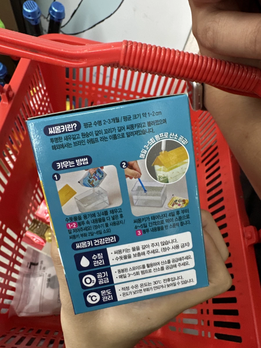 韓國 Sea Monkey 海猴寶寶養殖組