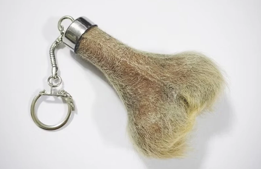 袋鼠陰囊開瓶器（袋鼠蛋蛋開瓶器）
